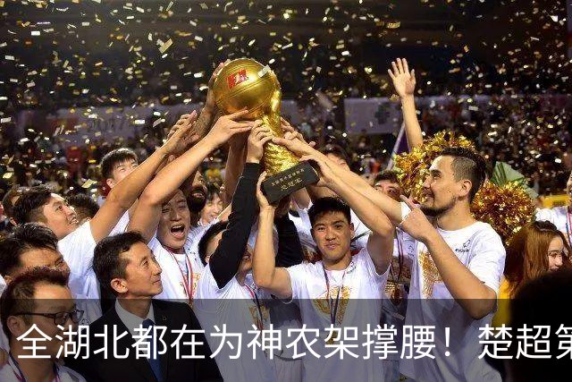全湖北都在为神农架撑腰！楚超第十一轮焦点战，武汉队4比0胜神农架队
